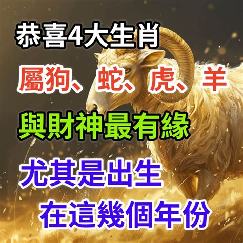 屬羊年份